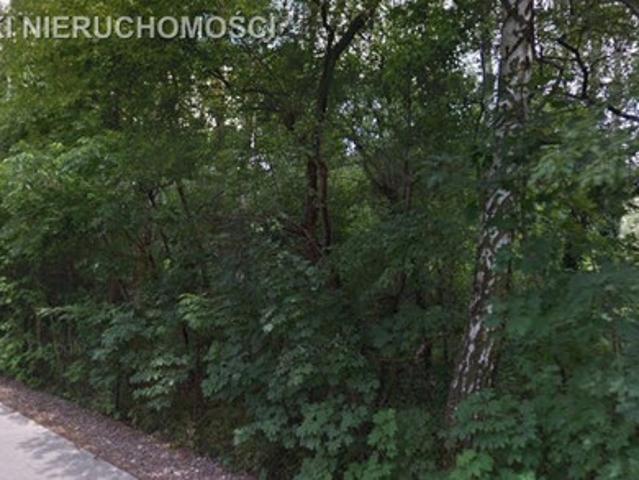 Pruszkowski, Brwinów