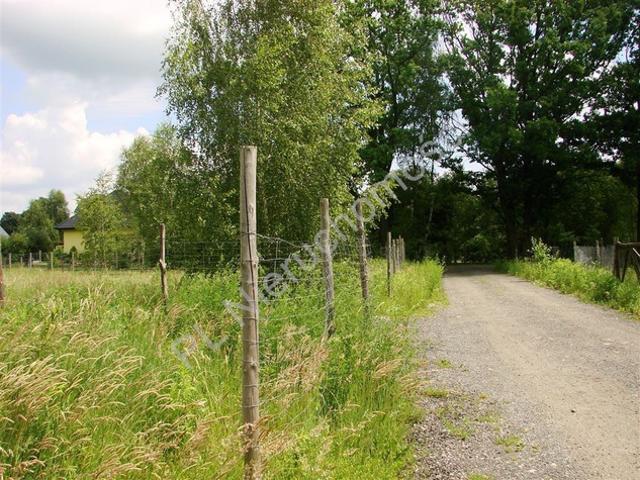 Pruszkowski, Owczarnia