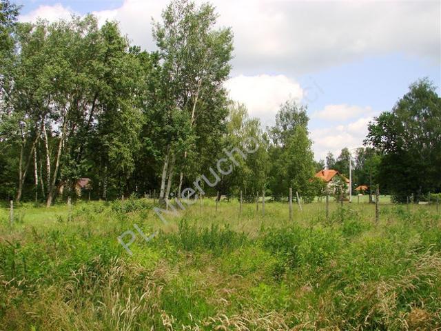 Pruszkowski, Owczarnia