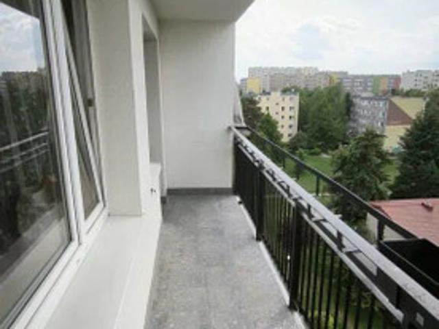 Pruszkowski, Pruszków, Dobra