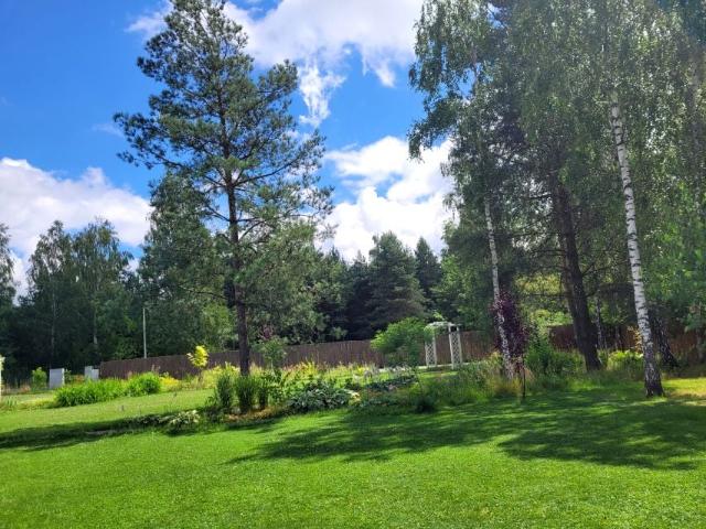 Przyjazna 1 000 m², Musuły