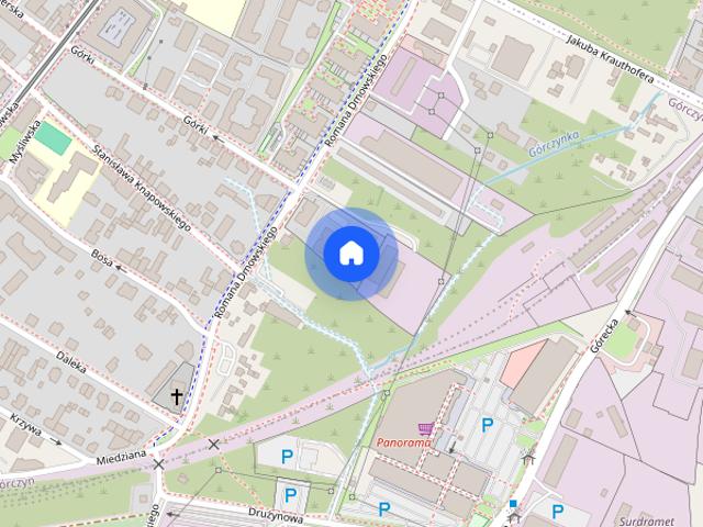 Przytulne mieszkanie Dmowskiego 111a Poznań