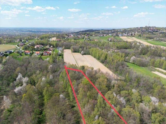 Działka leśna 98 arów w Zawadzie – idealna inwestycja!