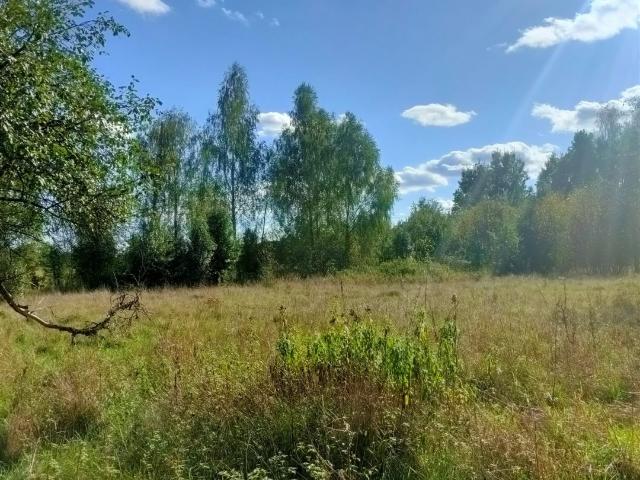 Działka rolno leśna z możliwością zabudowy 14 715 m² polecam!