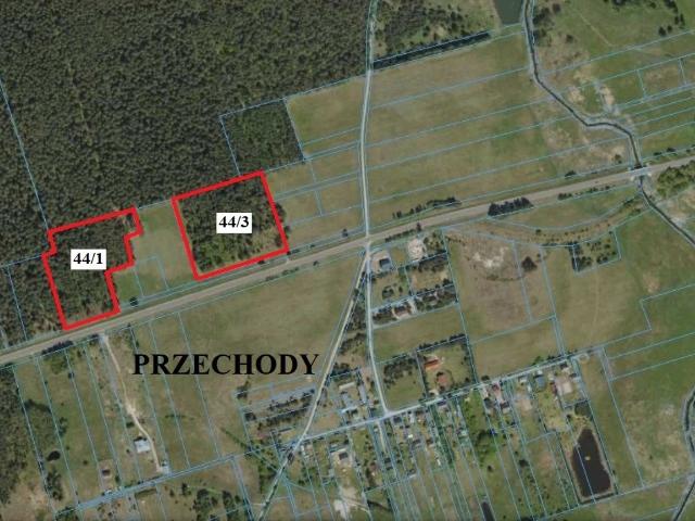 Działki leśne 36 853 m² z dojazdem, własność polecam!