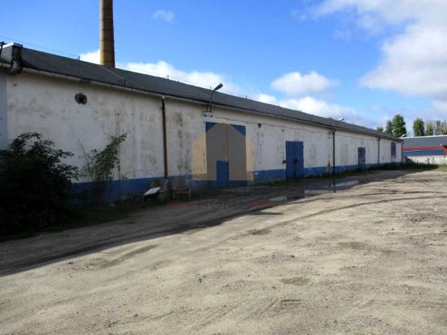 Przemysłowa 6 2 607 m², Legnica