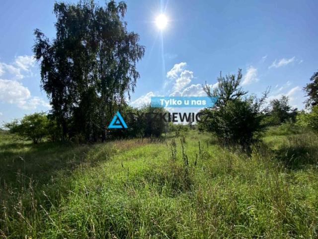 Przemysłowa 1 020 m², Cieplewo