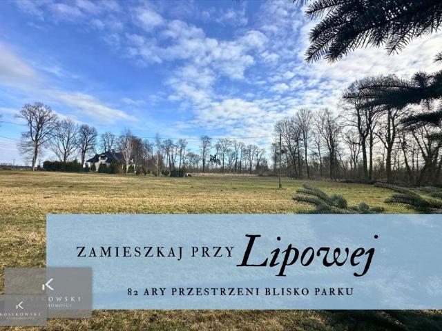 Przestronna działka 8 200 m² z zabudowaniami i stawem