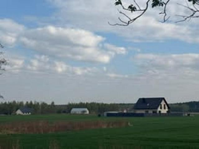 Przestronna działka 1005 m² w leśnym otoczeniu Miłoszyc