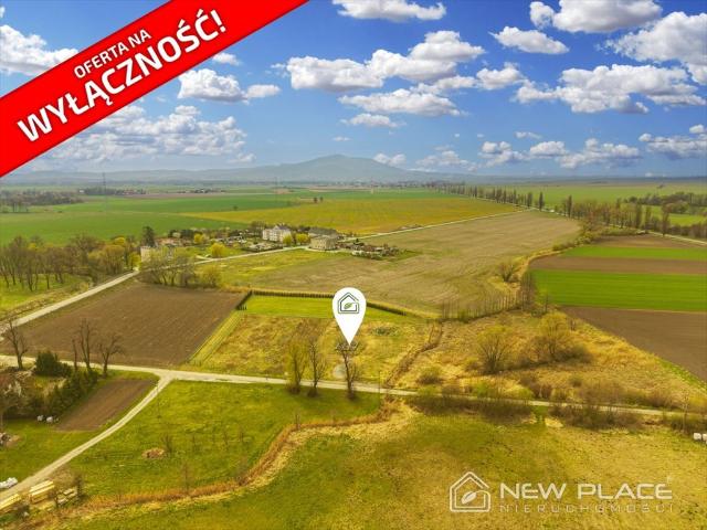 Przestronna działka 2700 m² z gotowym projektem domu