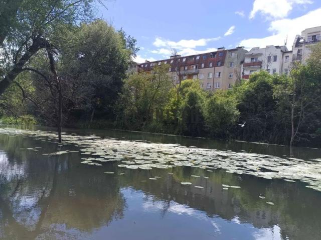 Przestronne 1 pokojowe mieszkanie z balkonem, blisko centrum