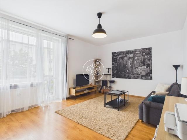 Przestronne 39,39 m² na Osiedlu Leśnym – gotowe do zamieszkania