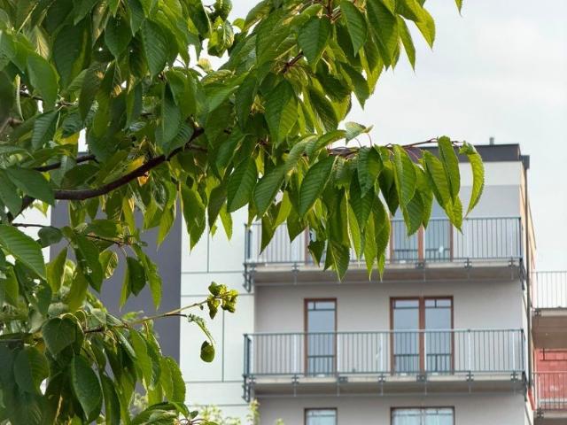 Przestronne 3 pokoje z balkonami w Sobótce zapraszam