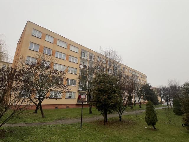 Przestronne 3 pokoje po remoncie, jasne, top lokalizacja zapraszam
