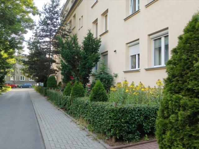 Przestronne 3 pokojowe mieszkanie z dużym balkonem i strychem