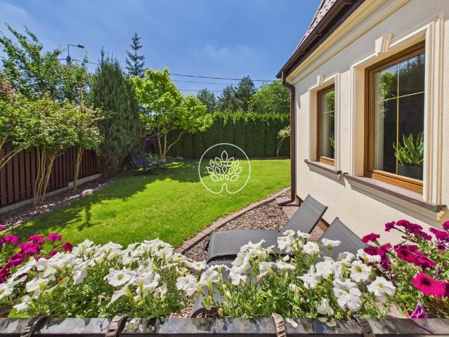 Przestronny dom 360 m² po remoncie, nowoczesna kuchnia i ogród