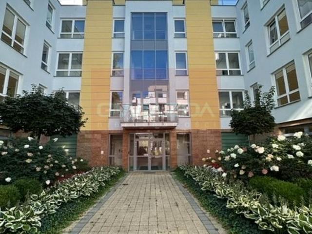 Przestronny lokal 563 m² z dużym potencjałem i nowoczesnym wykończeniem