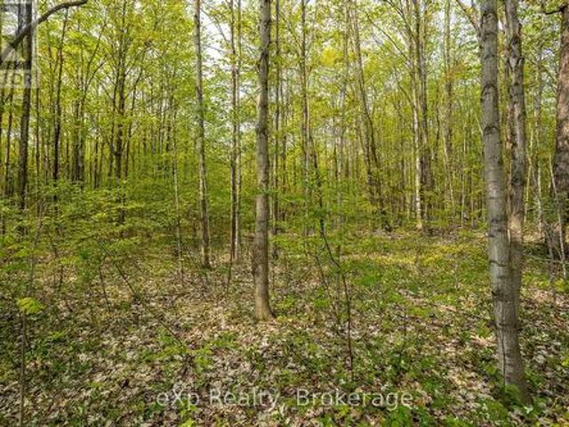 Pt Lot 20 Con 5, Chatsworth, ON, N0H 1G0 vacant land for sale | Listing ID X13690 | Royal LePage