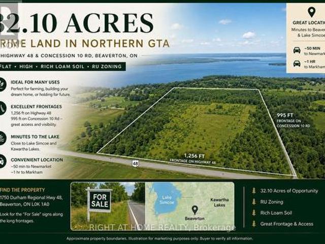 Pt Lt6 Concession 10 Road, Brock, ON, L0K 1A0 farm for sale | Listing ID N12370 | Royal LePage