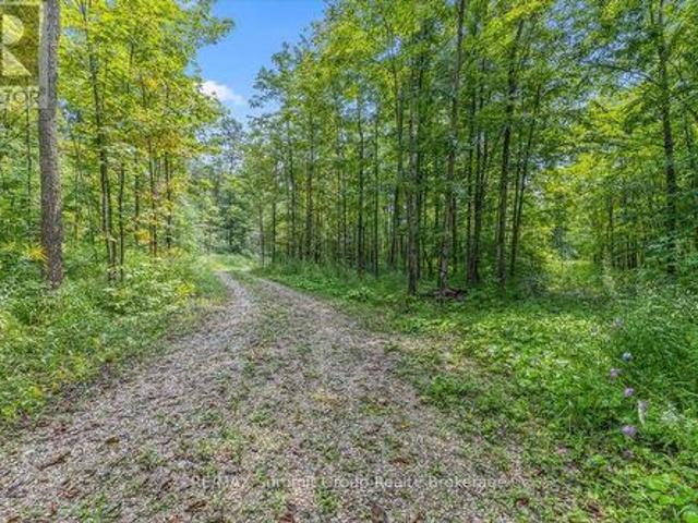 Pt Lt 4 Concession Road 8, West Grey, ON, N0C 1H0 vacant land for sale | Listing ID X13676 | Royal LePage