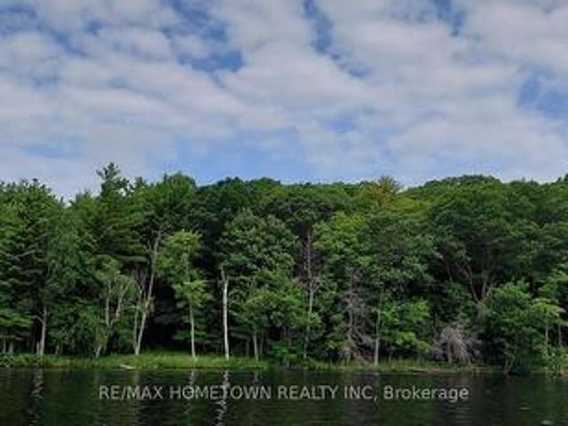 Pt Lt 5 Con 5 Na, Front Of Yonge, ON, K0E 1B0 vacant land for sale | Listing ID X13554 | Royal LePage