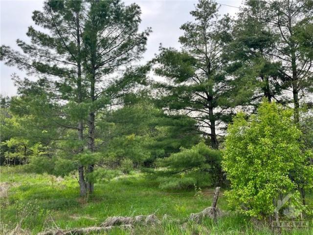 PT LT 19 HOMESTEADERS Road