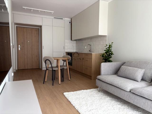 Ptasia 32,50 m², Gdańsk
