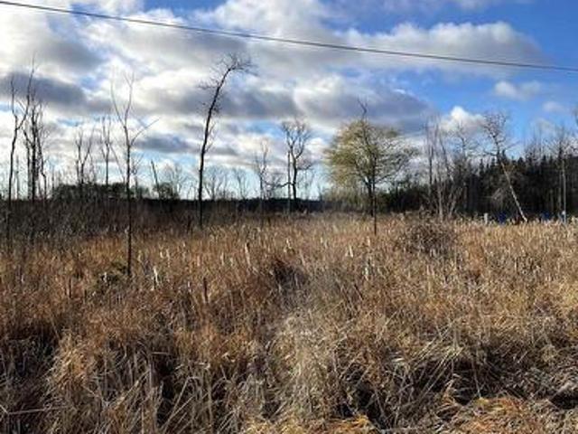 Ptlt 35 Concession 2 Side Road, Uxbridge, ON, L0L 0L0 vacant land for sale | Listing ID N10430 | Royal LePage