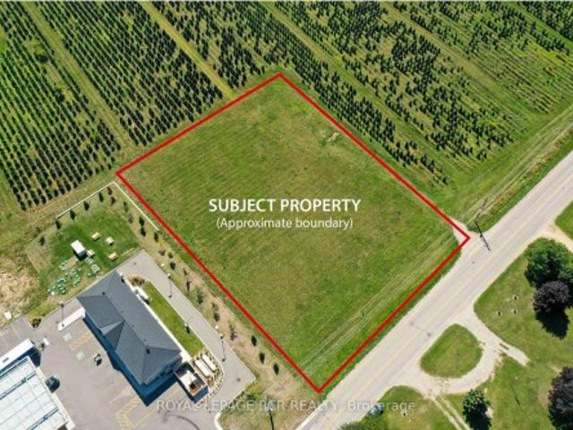 Ptlot10 Con 6 Ehs N/A, Mulmur, ON, L0N 1M0 vacant land for sale | Listing ID X12708 | Royal LePage