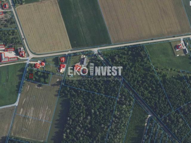 Działka z warunkami zabudowy i projektem domu w Trzcińcu