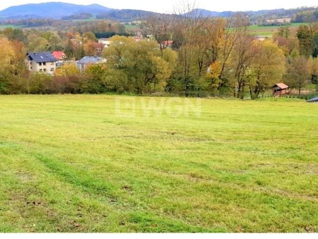 Puńców 5 000 m², Puńców