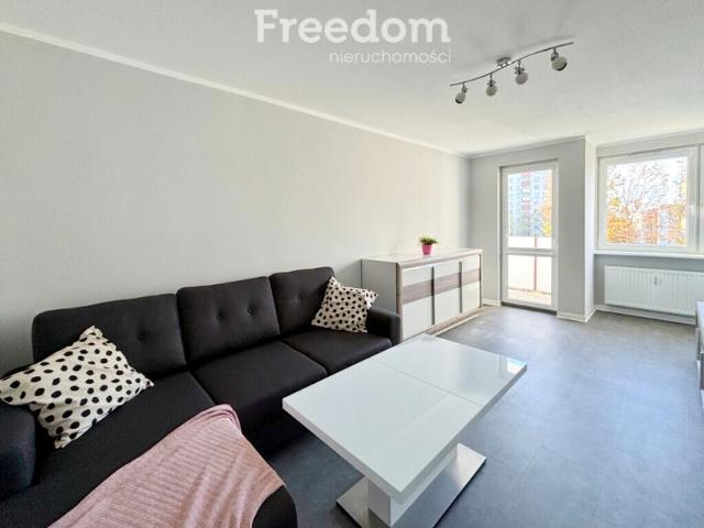 Pułkownika Stanisława Dąbka 46,80 m², Elbląg