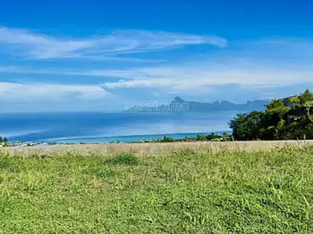 Punaauia 98703 Achat / Vente terrain