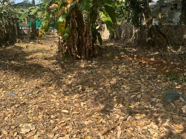 Punkunnam, Thrissur City 3049 Sq.Ft. Plot in Punkunnam Thrissur Listing ID: #10342