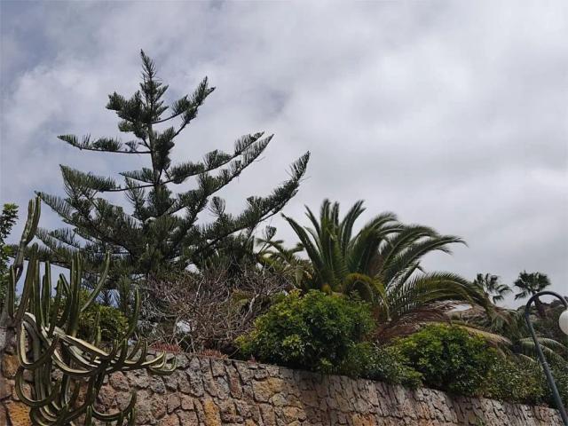 Puerto De La Cruz