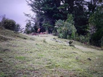 Puerto Montt, Puerto Montt