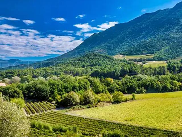 Puget Théniers 06260 Achat / Vente divers