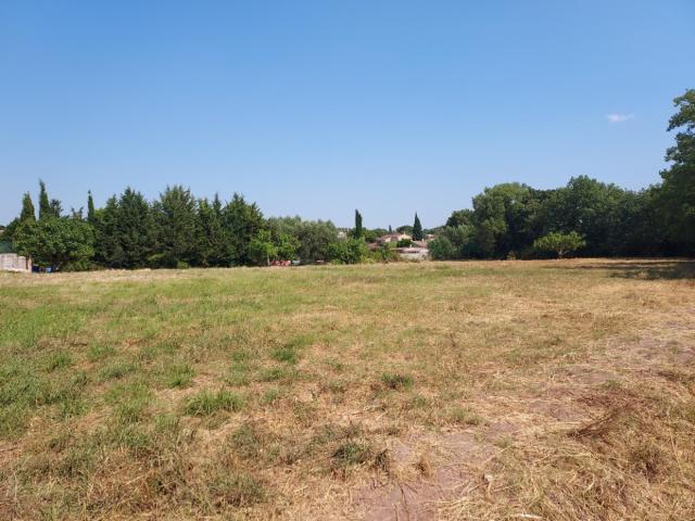 Puget sur Argens Vente Terrain 83