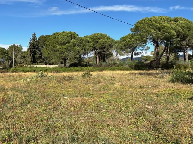 Puget sur Argens Vente Terrain 83