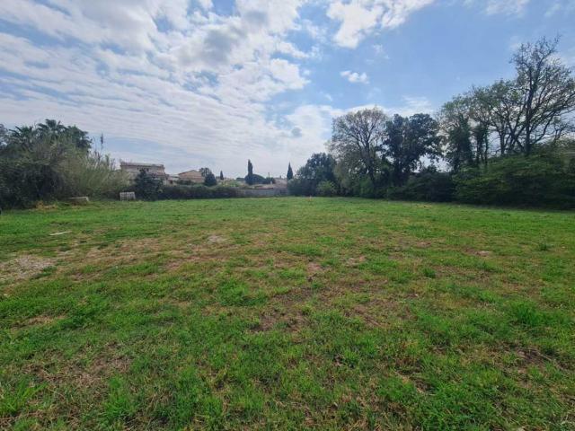 Puget sur Argens Vente Terrain 83