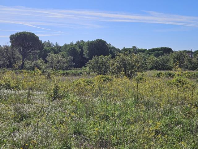 Puget sur Argens Vente Terrain 83