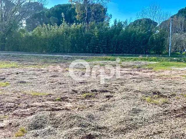 Puget sur Argens 83480 Achat / Vente terrain