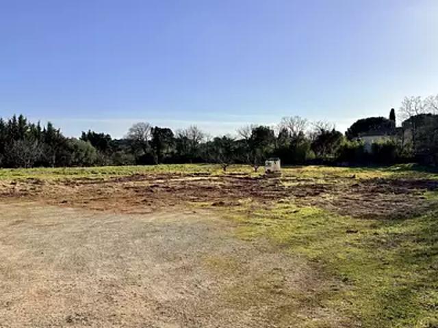Puget sur Argens 83480 Achat / Vente terrain