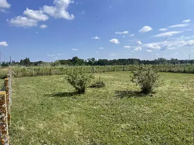 Pugnac 33710 Programme neuf terrain neuf à vendre