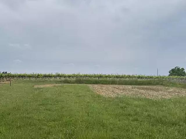 Pugnac 33710 Programme neuf terrain neuf à vendre