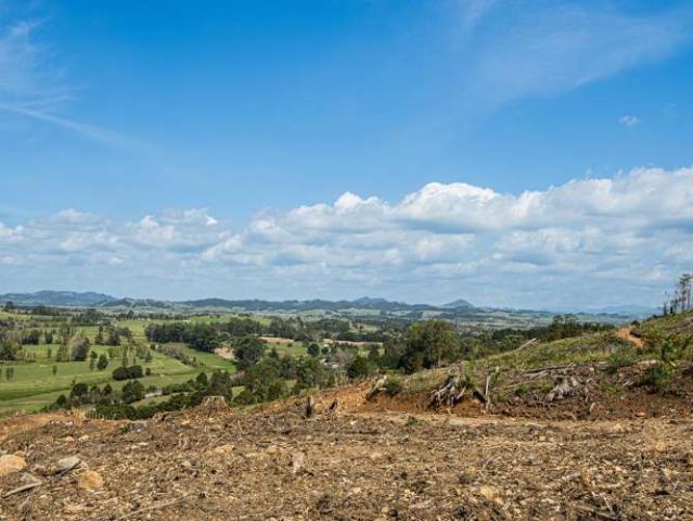 Puhipuhi Road, Whakapara, Whangārei