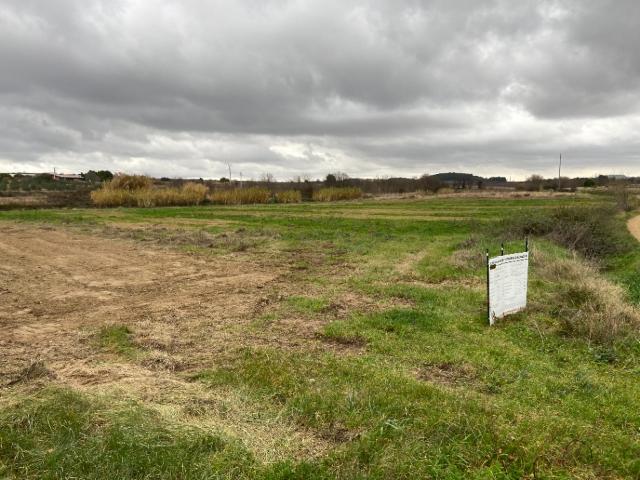 Puisserguier Vente Terrain 34