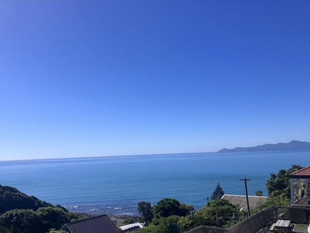 Pukerua Bay, Studio