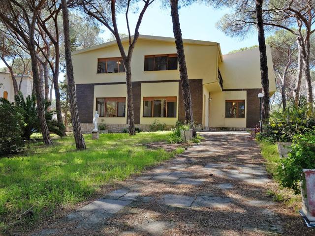 Pula 280m² Pula
