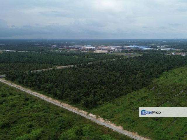 Pulau Carey